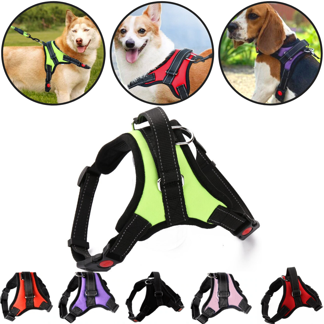Reflective Adjustable saddle Dog Harness