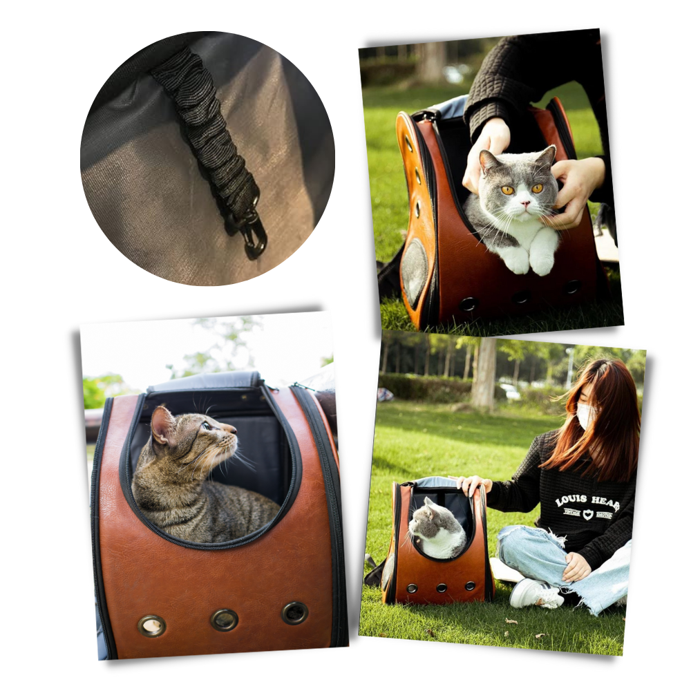 Cat Travel Backpack
