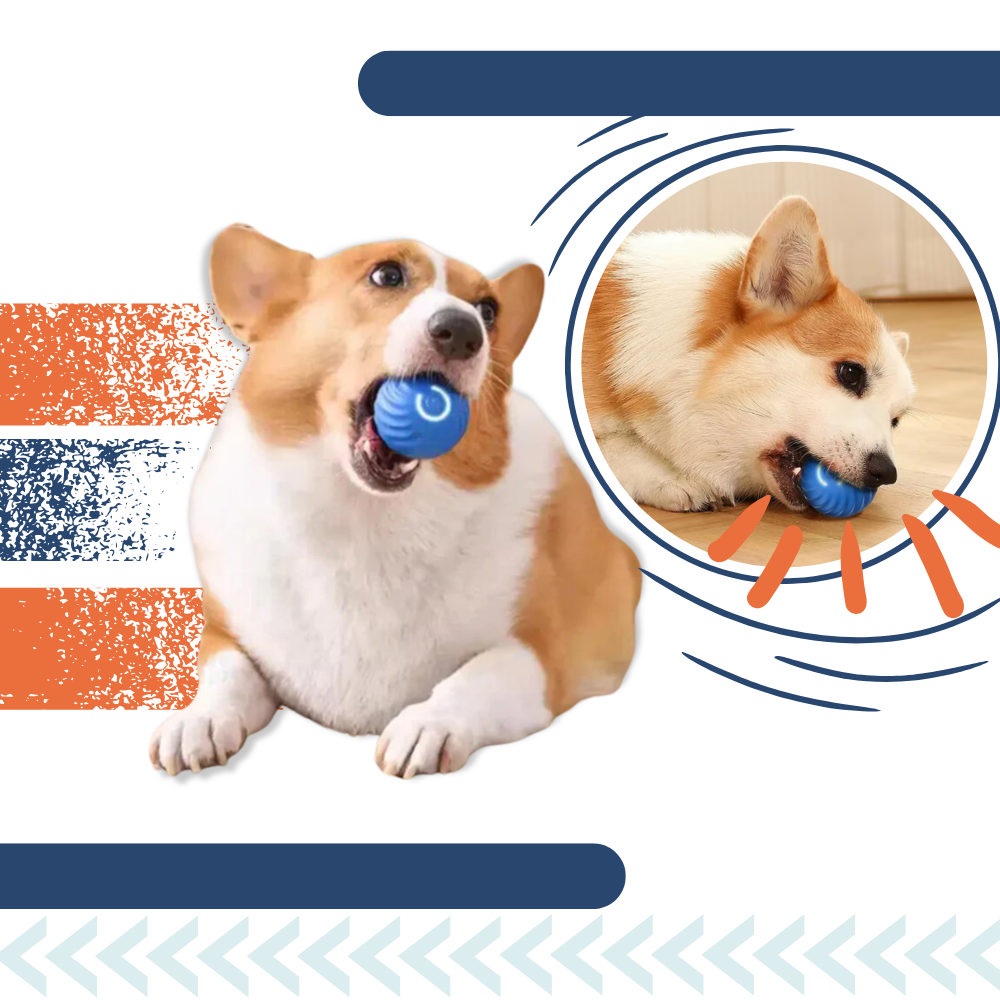 Obstacle Avoidance Dog Ball