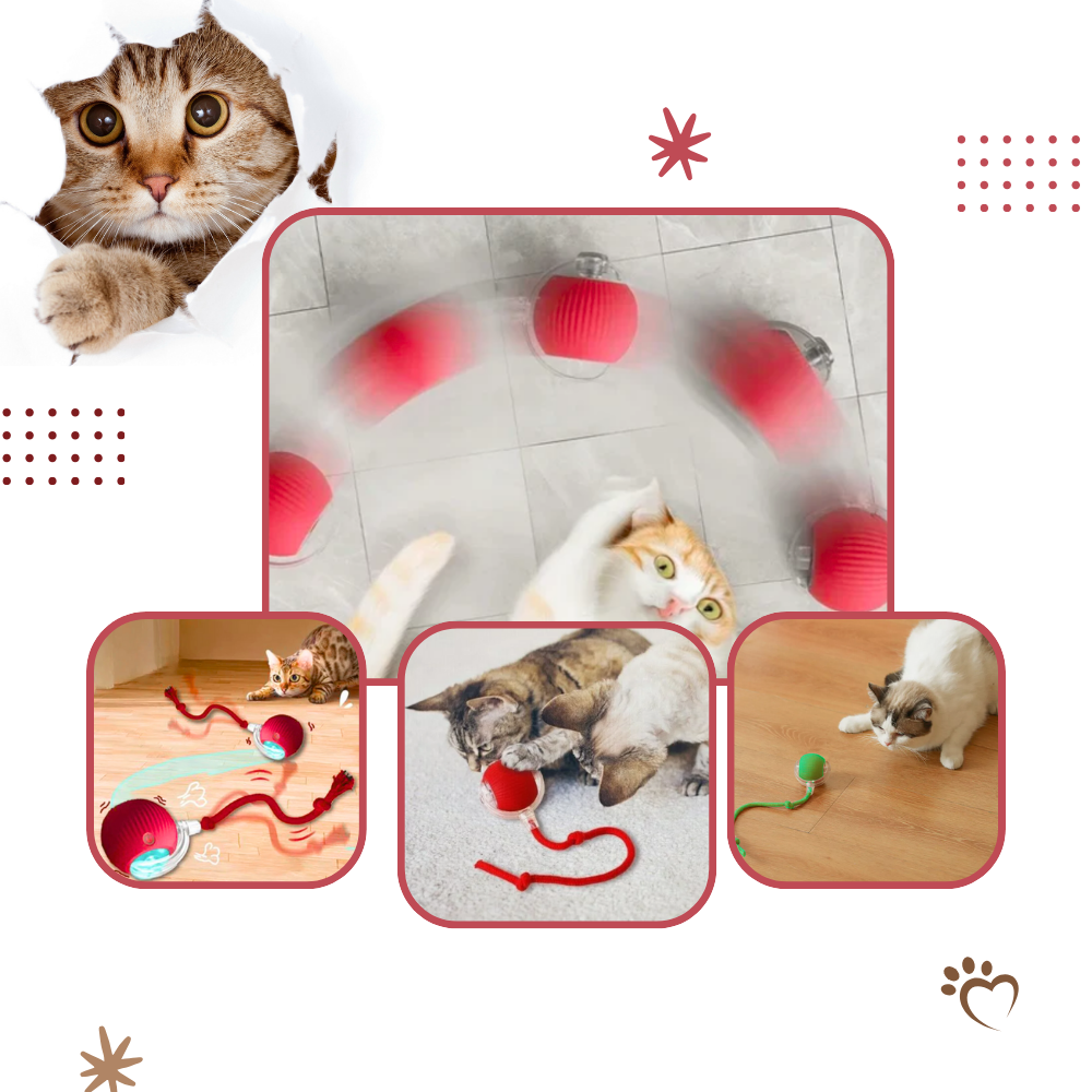 Smart Interactive Cats Ball Toy