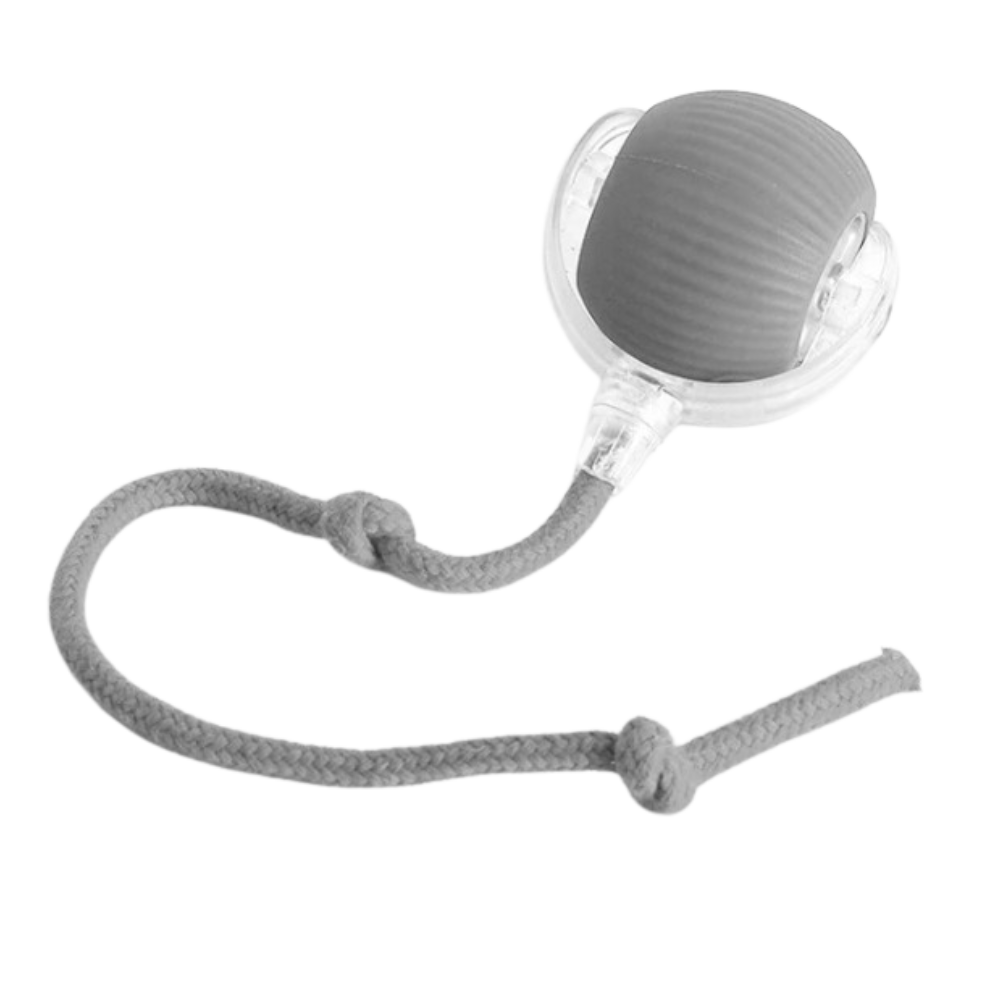 Smart Interactive Cats Ball Toy