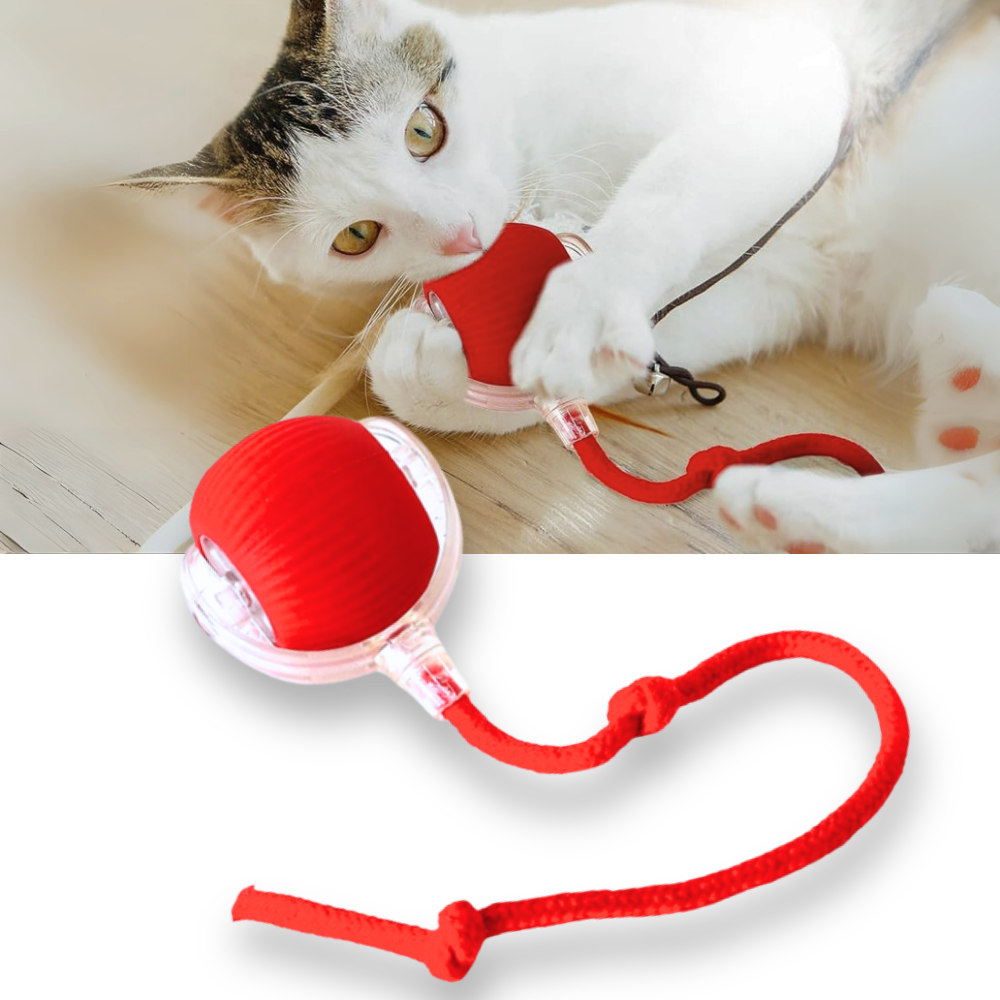 Smart Interactive Cats Ball Toy