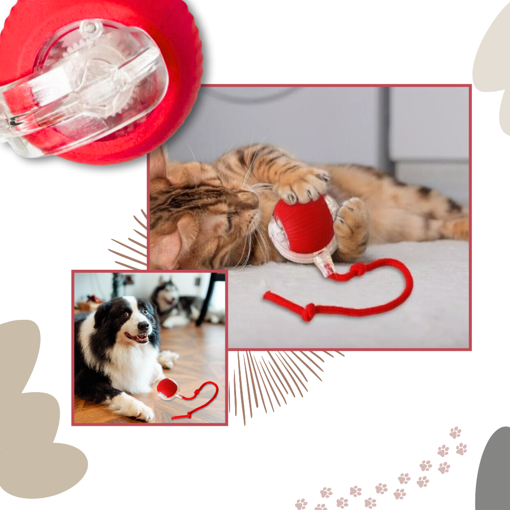 Smart Interactive Cats Ball Toy