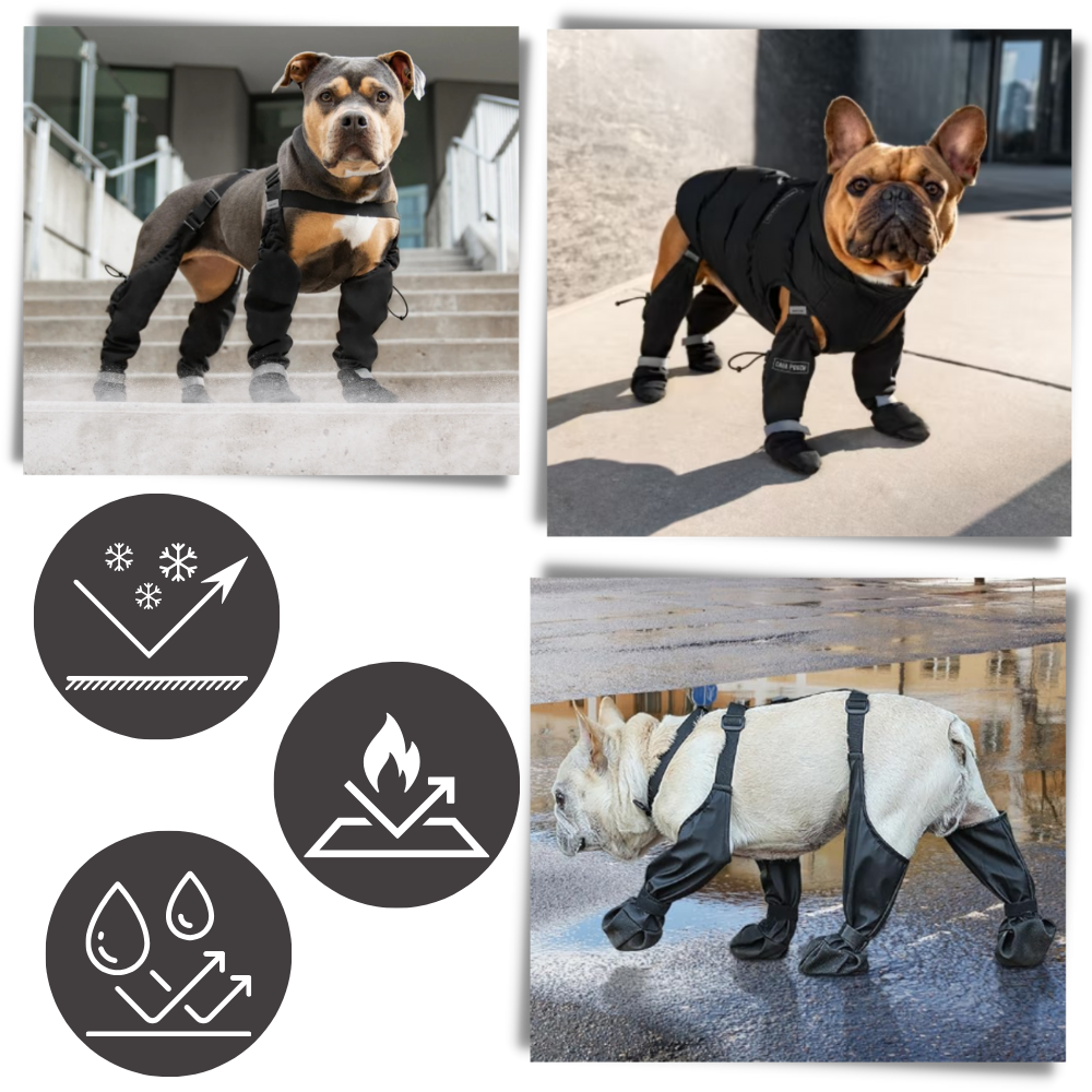 Waterproof Dog  Suspenders Boots